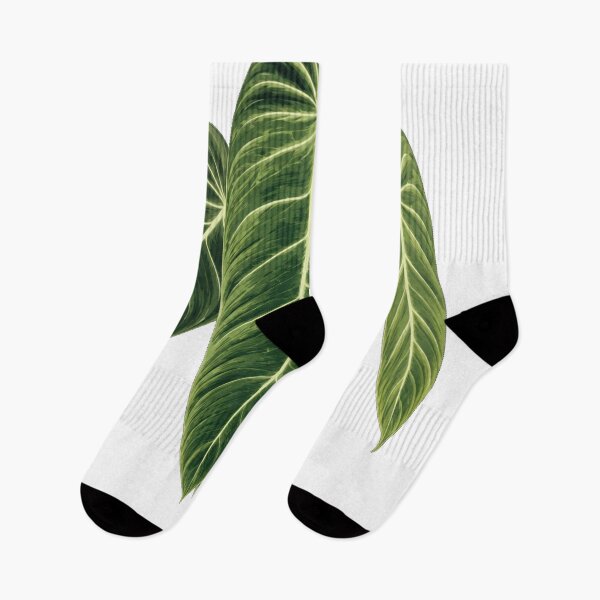 Item preview, Elegant Tropical Philodendron Melanochrysum   Leaf Botanical Illustration designed and sold by Mikena1996.