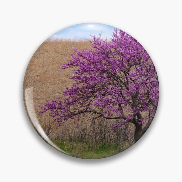 Item preview, Solitary Redbud tree with green grass and dried prairie background.  designed and sold by South 500 Photography.