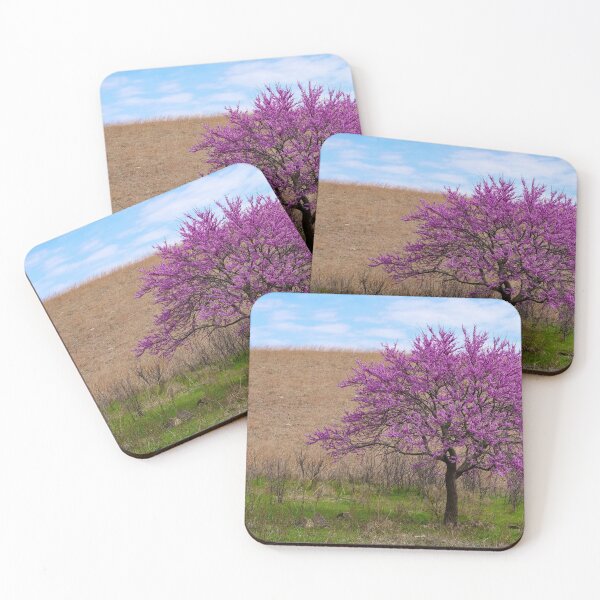 Item preview, Solitary Redbud tree with green grass and dried prairie background.  designed and sold by South 500 Photography.