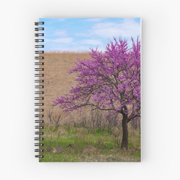 Artikelvorschau, Einzelner Judasbaum vor grünem Gras und ausgetrockneter Prärielandschaft. entworfen und verkauft von South 500 Photography.