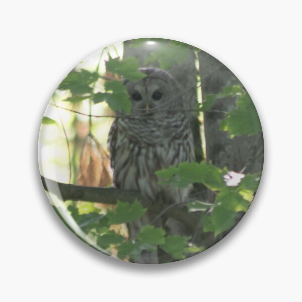 Item preview, Who are you? designed and sold by Perspective Wings.
