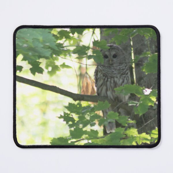 Item preview, Who are you? designed and sold by Perspective Wings.