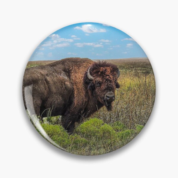 Item preview, A Bison Roams Free on the Tallgrass Prairie.  designed and sold by South 500 Photography.