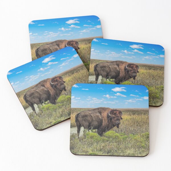 Item preview, A Bison Roams Free on the Tallgrass Prairie.  designed and sold by South 500 Photography.