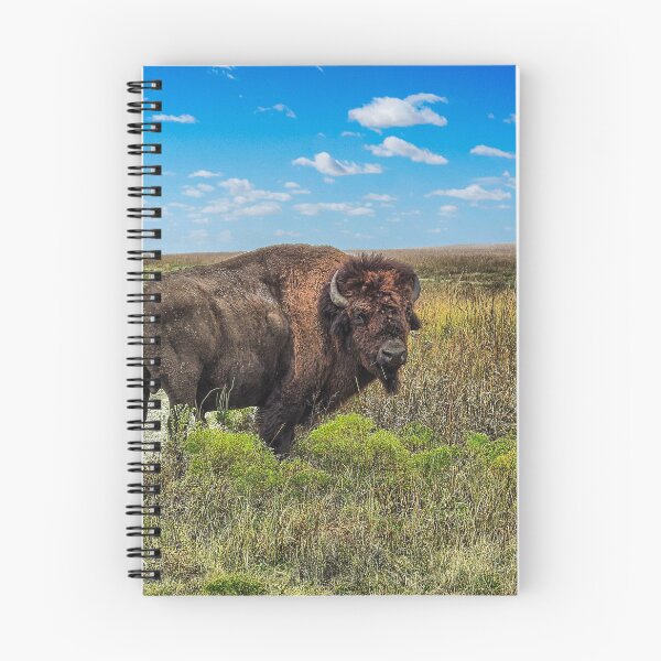 Item preview, A Bison Roams Free on the Tallgrass Prairie.  designed and sold by South 500 Photography.