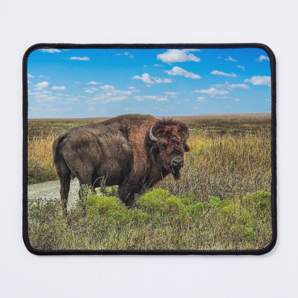 Item preview, A Bison Roams Free on the Tallgrass Prairie. designed and sold by South 500 Photography.