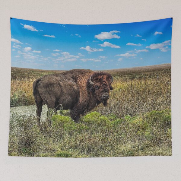 Item preview, A Bison Roams Free on the Tallgrass Prairie.  designed and sold by South 500 Photography.