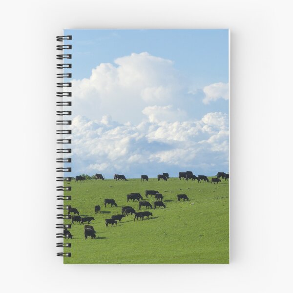 Item preview, Angus Cattle Graze on the Green Flint Hills with Storm Clouds Billowing against the backdrop of Blue Skies designed and sold by South 500 Photography.