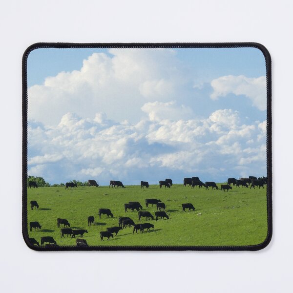Item preview, Angus Cattle Graze on the Green Flint Hills with Storm Clouds Billowing against the backdrop of Blue Skies designed and sold by South 500 Photography.