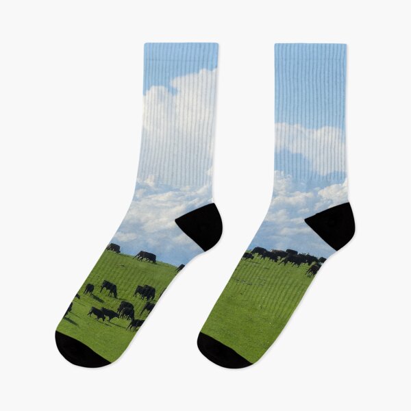 Item preview, Angus Cattle Graze on the Green Flint Hills with Storm Clouds Billowing against the backdrop of Blue Skies designed and sold by South 500 Photography.