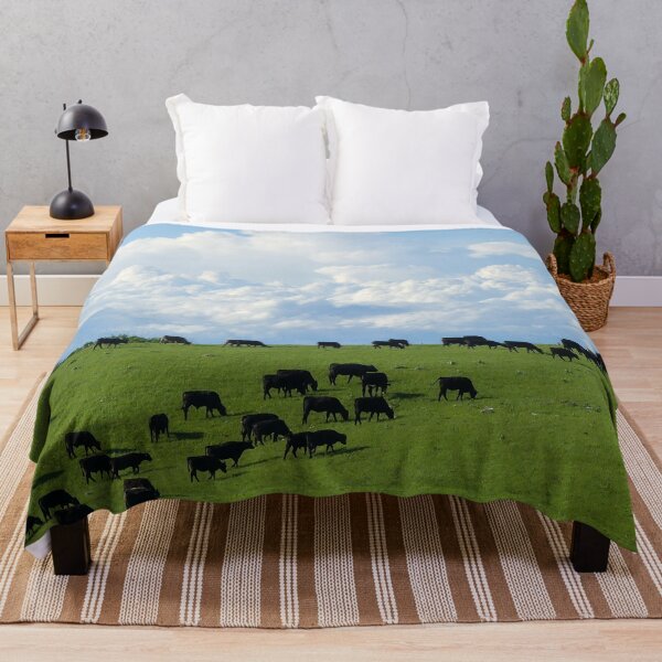 Item preview, Angus Cattle Graze on the Green Flint Hills with Storm Clouds Billowing against the backdrop of Blue Skies designed and sold by South 500 Photography.