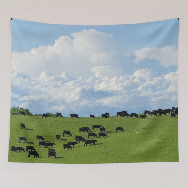 Item preview, Angus Cattle Graze on the Green Flint Hills with Storm Clouds Billowing against the backdrop of Blue Skies designed and sold by South 500 Photography.