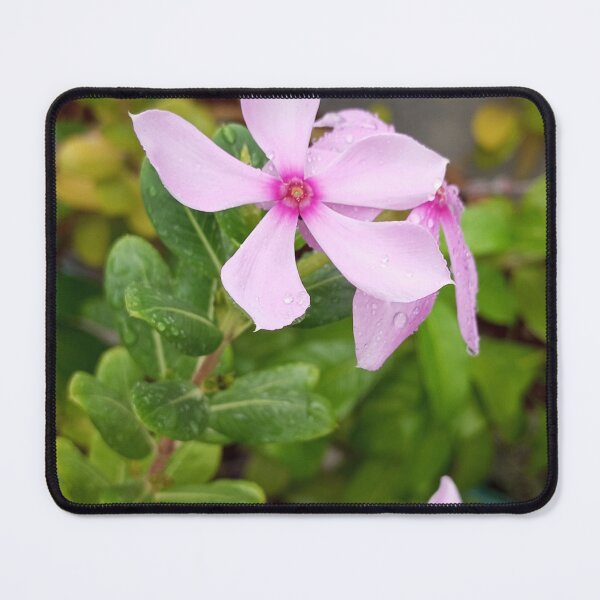 Item preview, Pink flowers  designed and sold by AWADHESH  CHAURASIA.