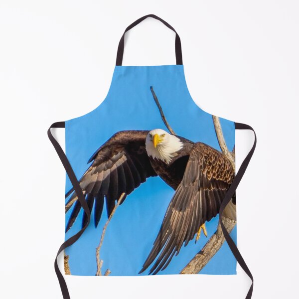 Item preview, Majestic Bald Eagle takes off as it makes eye contact with the Camera. designed and sold by South 500 Photography.