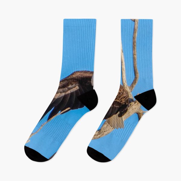 Item preview, Majestic Bald Eagle takes off as it makes eye contact with the Camera.  designed and sold by South 500 Photography.
