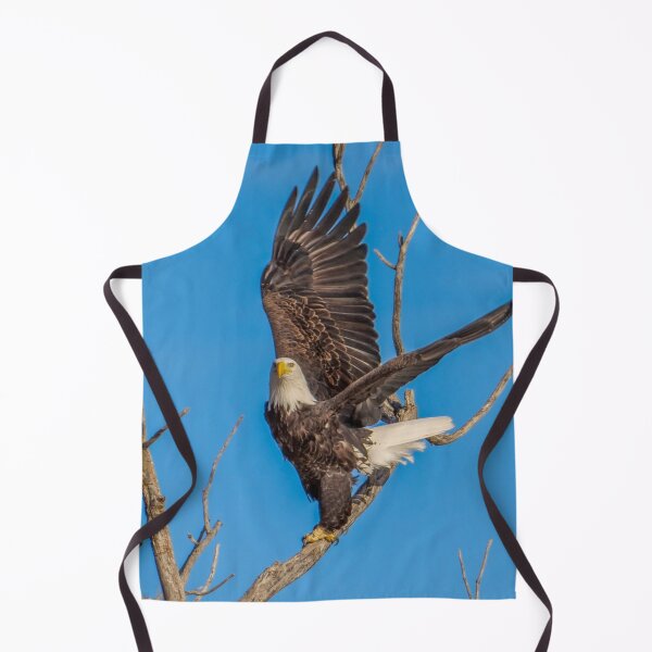 Item preview, Bald Eagle showing me it's Wing Span. designed and sold by South 500 Photography.