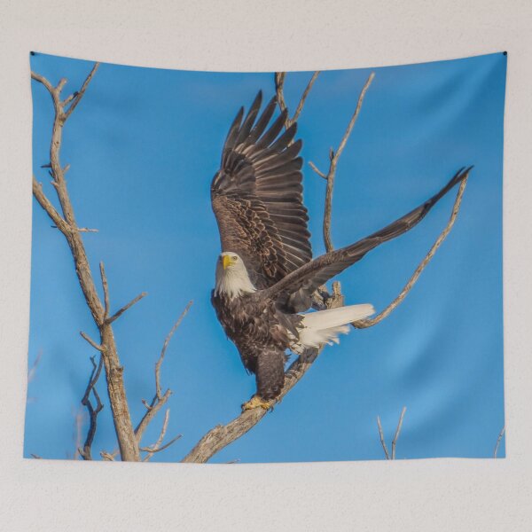 Item preview, Bald Eagle showing me it's Wing Span.  designed and sold by South 500 Photography.