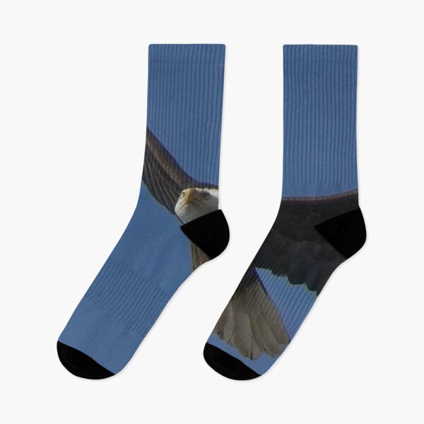 Item preview, Bald Eagle flies overhead with it's latest meal in talons.  designed and sold by South 500 Photography.