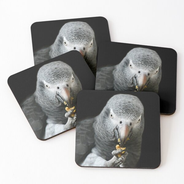 Item preview, Closeup of an African Grey Parrot designed and sold by richardbryce.