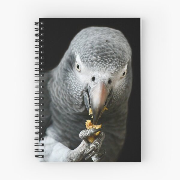 Item preview, Closeup of an African Grey Parrot designed and sold by richardbryce.