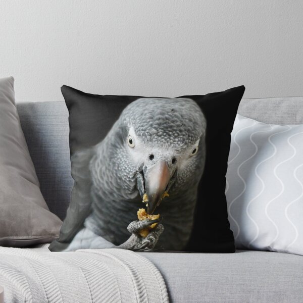 Item preview, Closeup of an African Grey Parrot designed and sold by richardbryce.