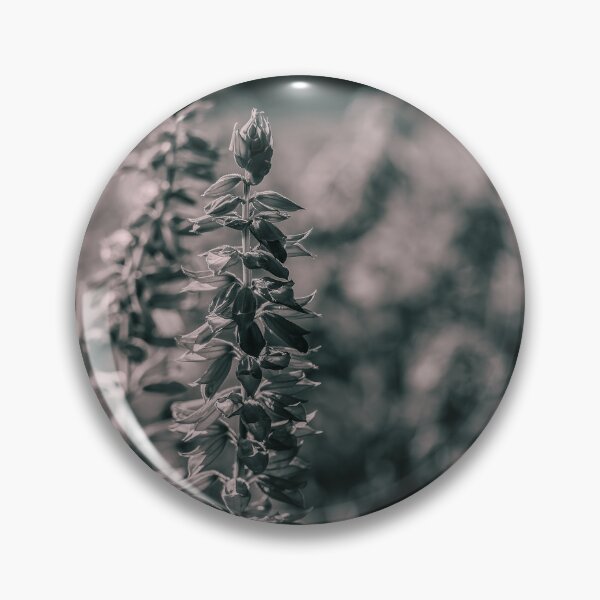 Item preview, Black and White Salvia Spike designed and sold by Rabee Khalil Photography.