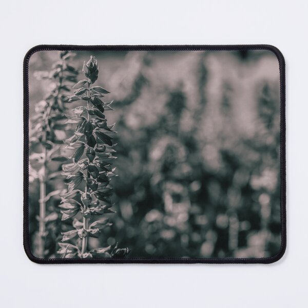 Item preview, Black and White Salvia Spike designed and sold by Rabee Khalil Photography.