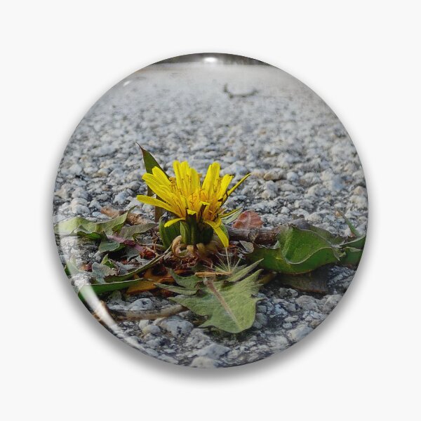 Item preview, Determination is a Dandelion growing up through the Asphalt.  designed and sold by South 500 Photography.
