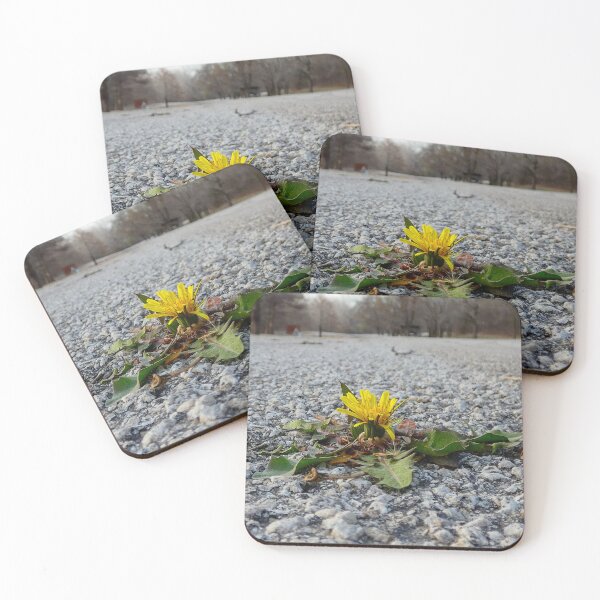 Item preview, Determination is a Dandelion growing up through the Asphalt.  designed and sold by South 500 Photography.