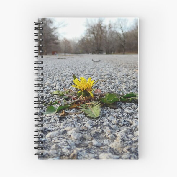 Item preview, Determination is a Dandelion growing up through the Asphalt.  designed and sold by South 500 Photography.