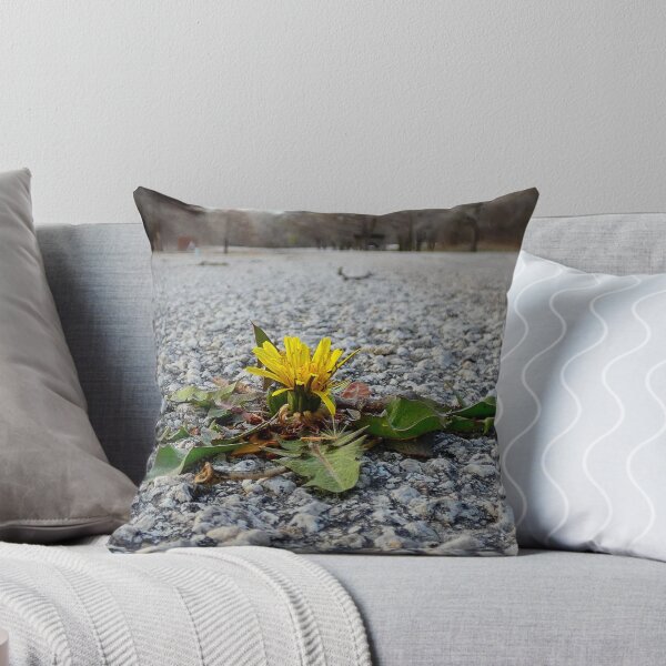 Item preview, Determination is a Dandelion growing up through the Asphalt.  designed and sold by South 500 Photography.