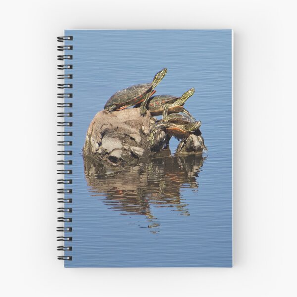 Item preview, Turtle Tower creates a beautifully stacked reflection, designed and sold by South 500 Photography.