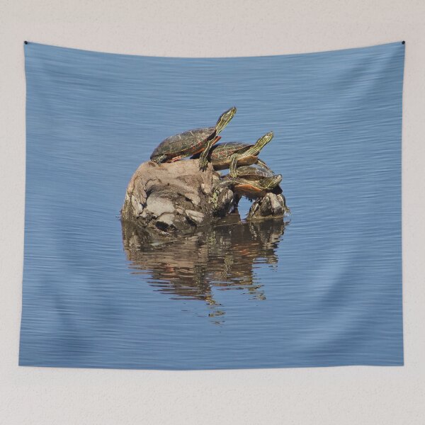 Item preview, Turtle Tower creates a beautifully stacked reflection, designed and sold by South 500 Photography.
