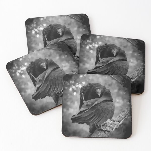 Item preview, Vulture in its hoodlum era.  designed and sold by South 500 Photography.
