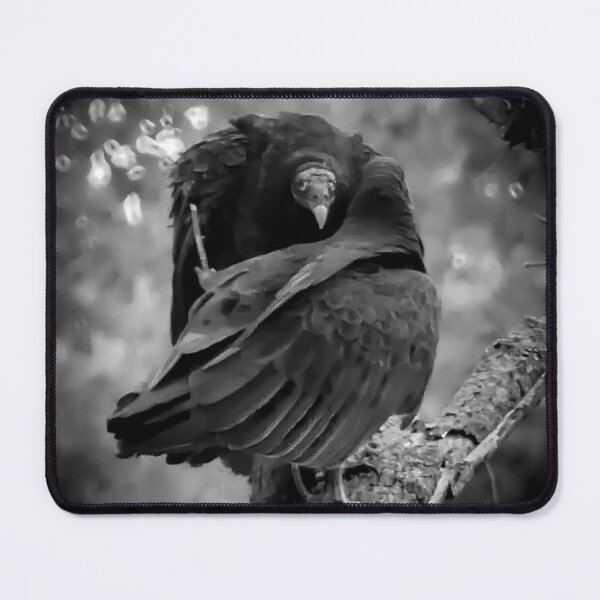 Item preview, Vulture in its hoodlum era. designed and sold by South 500 Photography.