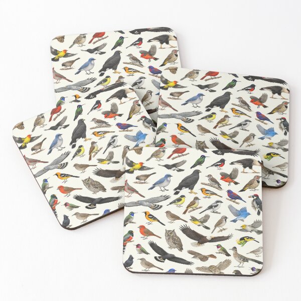 Item preview, Native Birds of Arizona Retro Style Identification Chart designed and sold by kakarikihill.