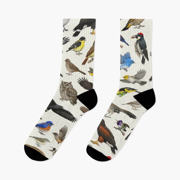 Item preview, Native Birds of Arizona Retro Style Identification Chart designed and sold by kakarikihill.