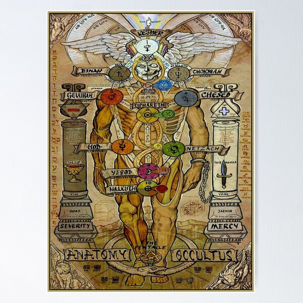Item preview, ANATOMY OCCULTUS : Vintage Abstract Body Print designed and sold by posterbobs.