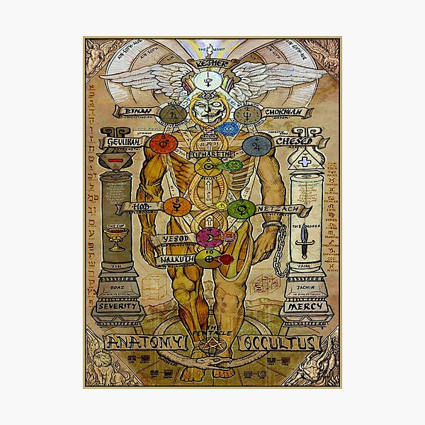 Item preview, ANATOMY OCCULTUS: Impression de corps abstrait vintage designed and sold by posterbobs.