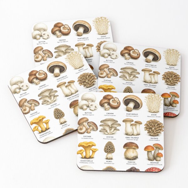 Item preview, Types of Mushrooms Poster | Common Mushroom Identification Chart | Nature Wall Art designed and sold by PIXEL POP DESIGNS - Beyond the Norm!.