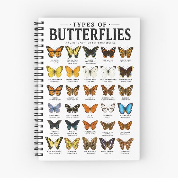 Item preview, Types of Butterflies Poster | Butterfly Identification Chart | Colorful Nature Wall Art designed and sold by PIXEL POP DESIGNS - Beyond the Norm!.