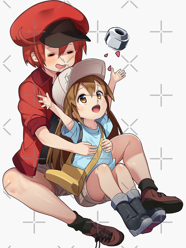 Cells at work, white blood cell x red blood cell