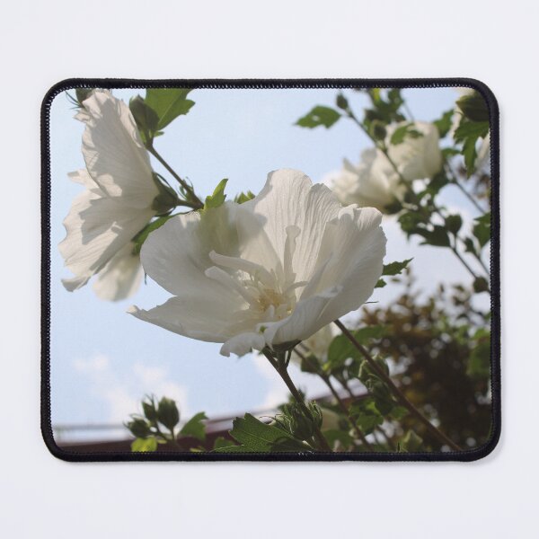 Item preview, White Hibiscus flower  designed and sold by McFleur's Lens.