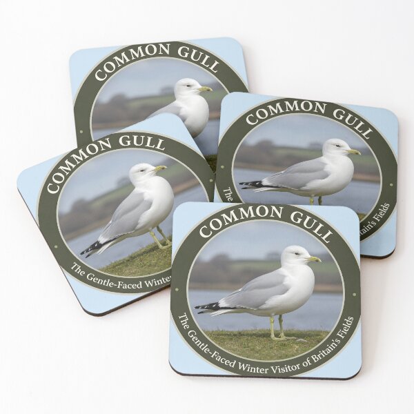 Item preview, COMMON GULL – The Gentle‑Faced Winter Visitor of Britain’s Fields designed and sold by The Digital Compass.