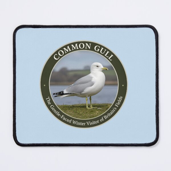 Item preview, COMMON GULL – The Gentle‑Faced Winter Visitor of Britain’s Fields designed and sold by The Digital Compass.