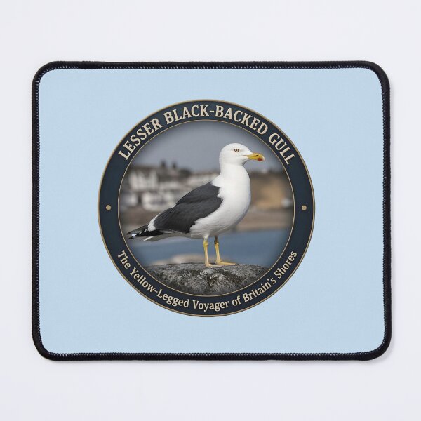 Item preview, LESSER BLACK‑BACKED GULL – The Yellow‑Legged Voyager of Britain’s Shores designed and sold by The Digital Compass.