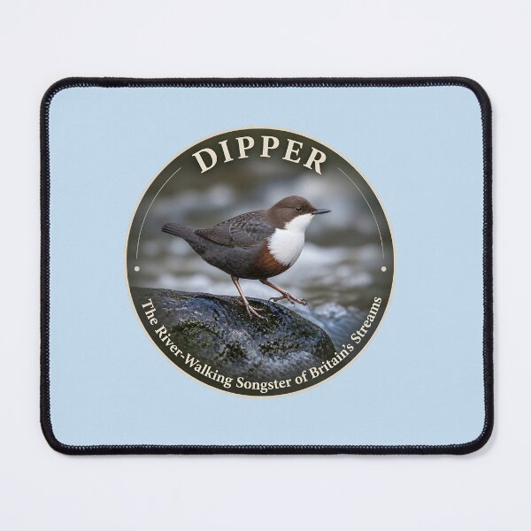 Item preview, DIPPER  --- The River‑Walking Songster of Britain’s Streams designed and sold by The Digital Compass.