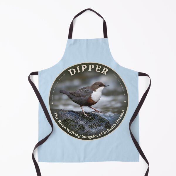 Item preview, DIPPER --- The River‑Walking Songster of Britain’s Streams designed and sold by The Digital Compass.