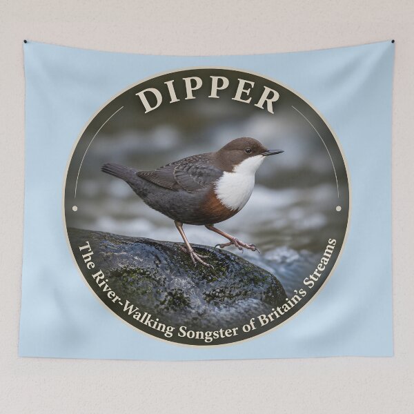 Item preview, DIPPER  --- The River‑Walking Songster of Britain’s Streams designed and sold by The Digital Compass.