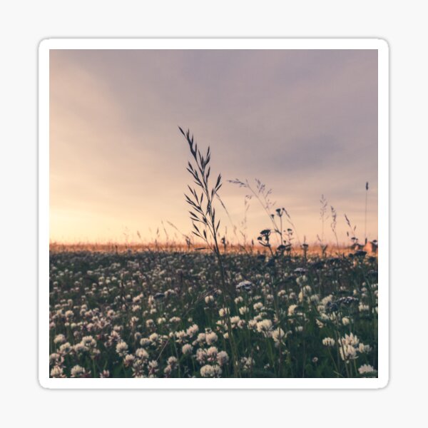 The perfect sunset feeling Sticker
